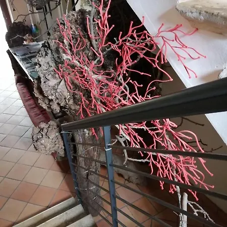 Ristolocanda Grani Di Pepe Hotel 3*